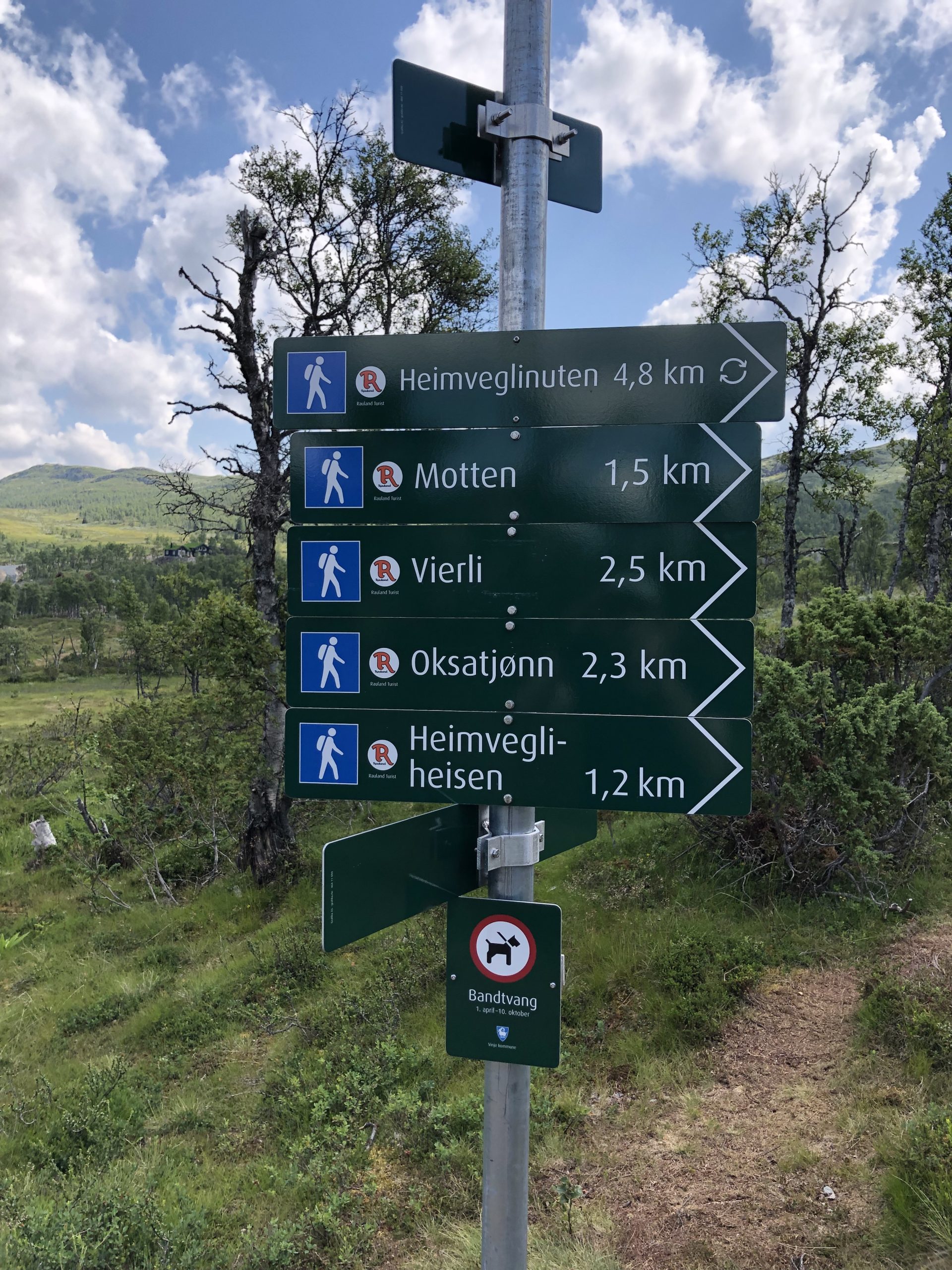 Sommer og høst på Rauland