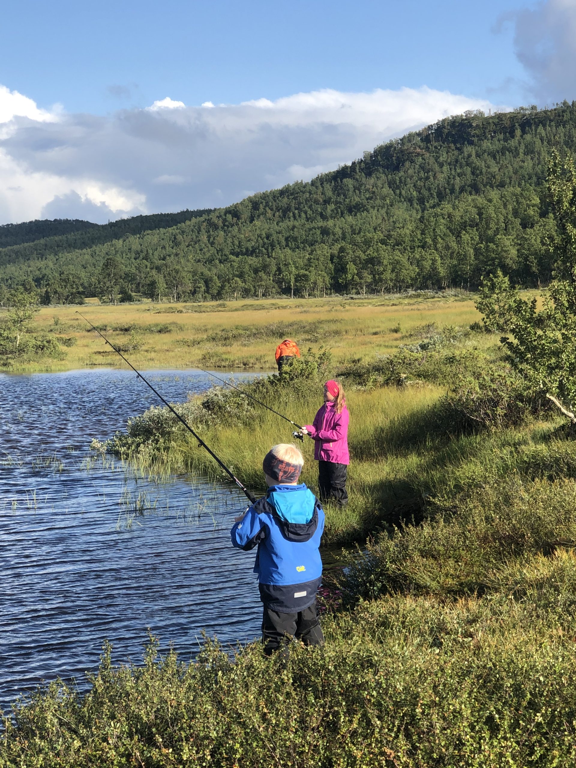 Sommer og høst på Rauland